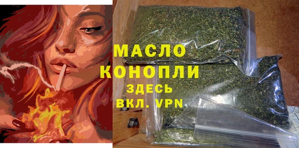 индика Михайлов