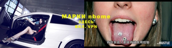 индика Михайлов