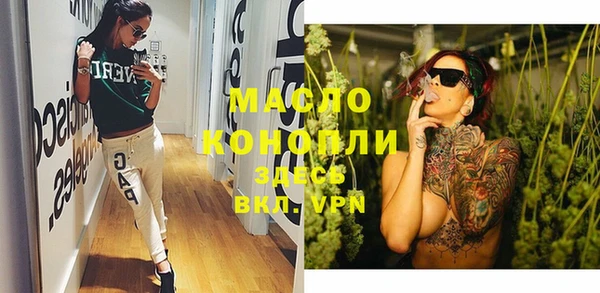 индика Михайлов