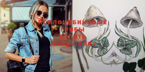 индика Михайлов