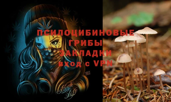 индика Михайлов