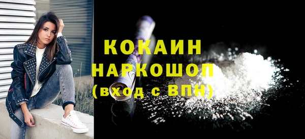 индика Михайлов