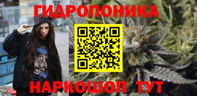 прущие крисы Моздок