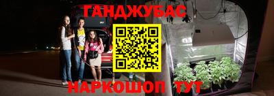 прущие крисы Моздок