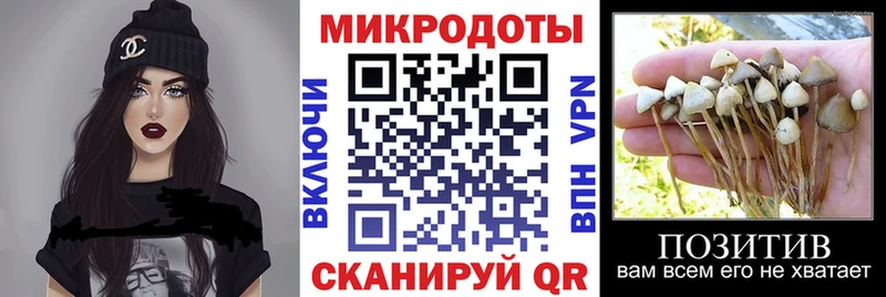 hydra зеркало  Полысаево  Псилоцибиновые грибы мухоморы  где можно купить наркотик 