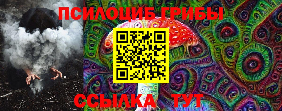 Псилоцибиновые грибы Psilocybine cubensis Полысаево