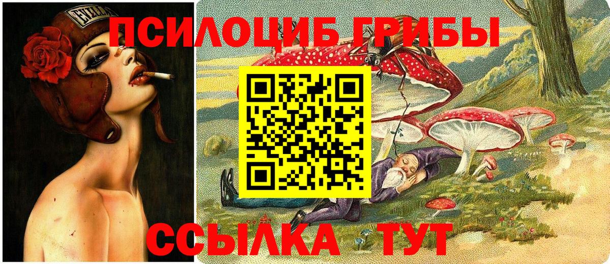 Галлюциногенные грибы Psilocybe Полысаево