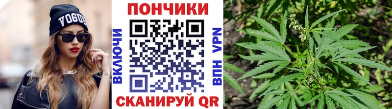 Бошки марихуана SATIVA & INDICA  хочу   Полысаево 